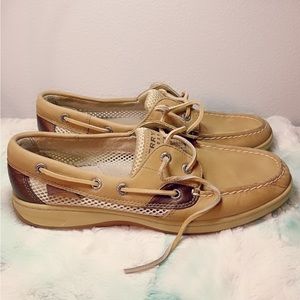 Sperry